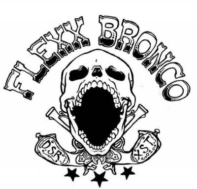 logo Flexx Bronco